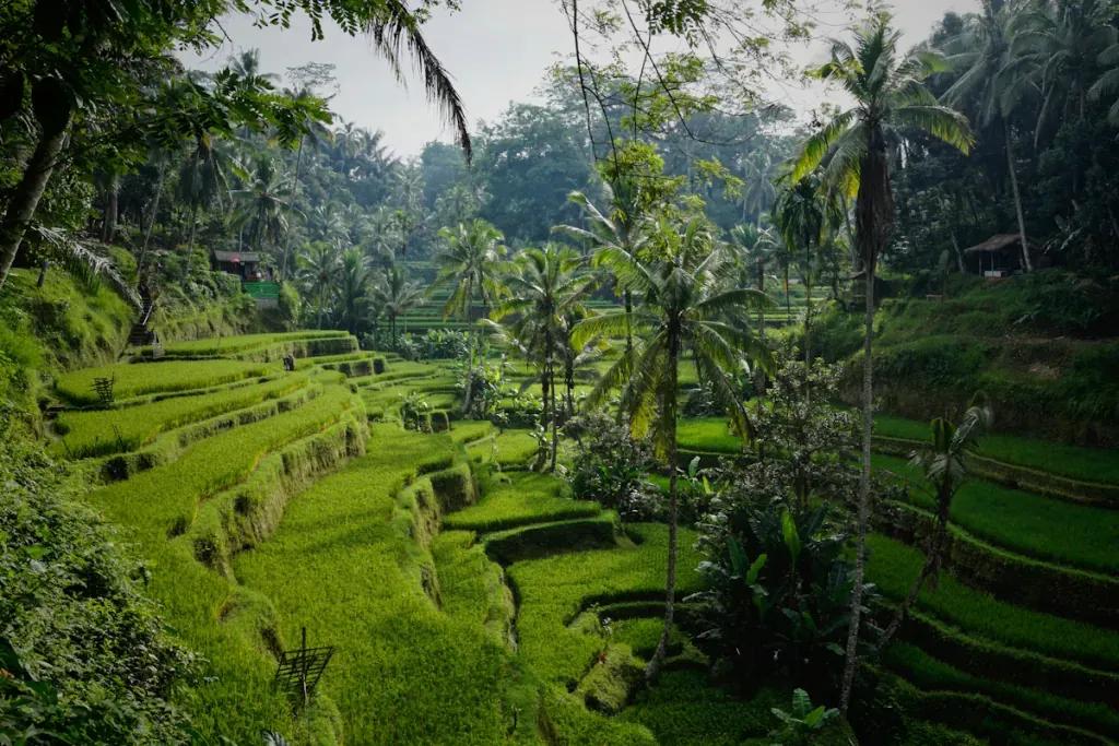 eSIM Batam - Compra datos de viaje prepago para Batam, Indonesia