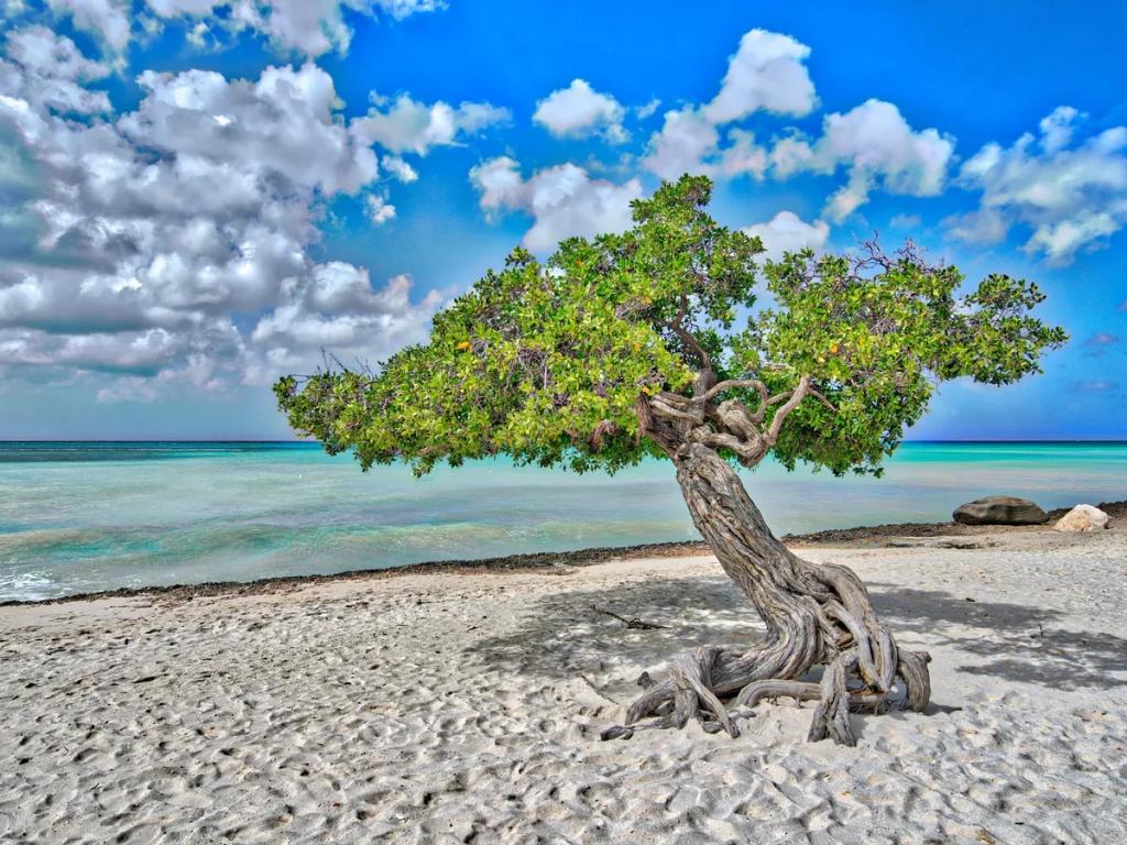 Destino de viaje Aruba - Compra eSIM Aruba para internet móvil
