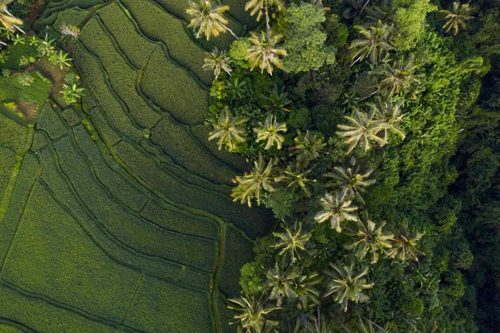 eSIM Canggu - Compra datos de viaje prepago para Canggu, Indonesia