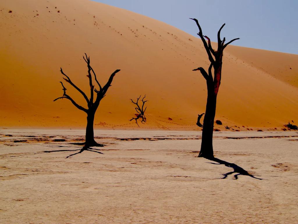 Destino de viaje Namibia - Compra eSIM Namibia para internet móvil