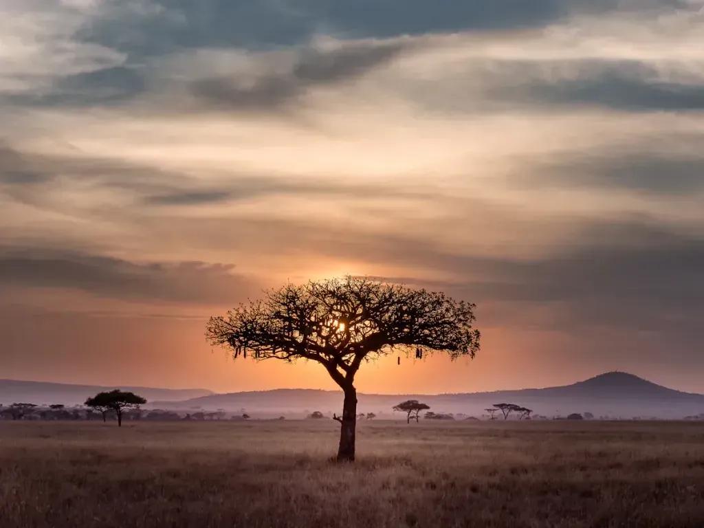 eSIM Livingstone - Compra datos de viaje prepago para Livingstone, Zambia