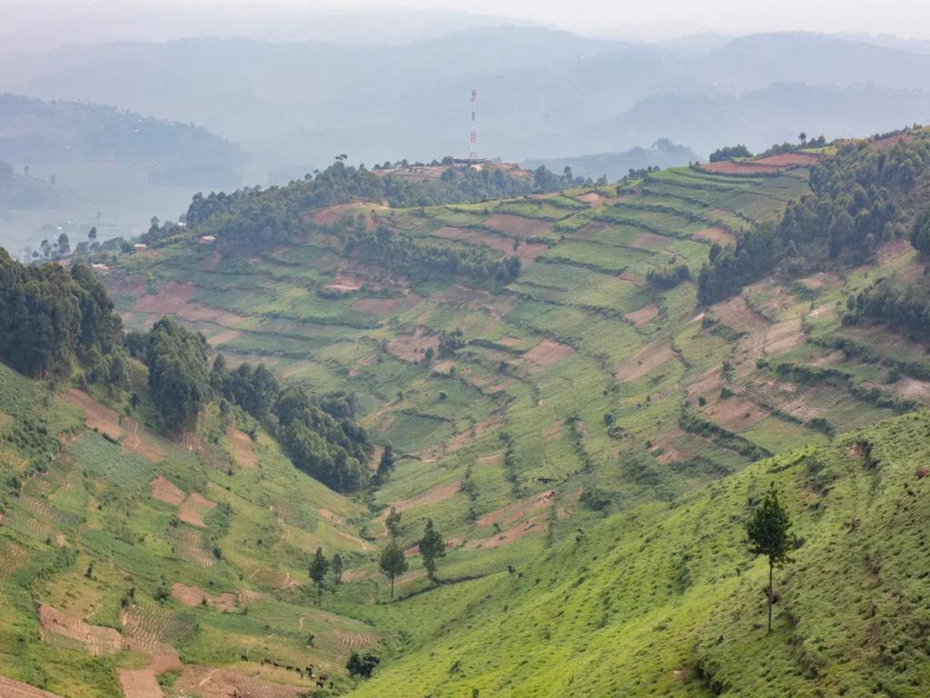 Destino de viaje Uganda - Compra eSIM Uganda para internet móvil